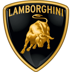 Servosterzo - Idroguida LAMBORGHINI TRATTORI