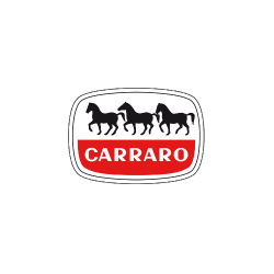 servosterzo CARRARO