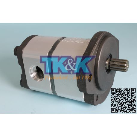 Pompa CAT 301.5 , 301.8