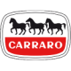 servosterzo CARRARO