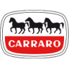 servosterzo CARRARO
