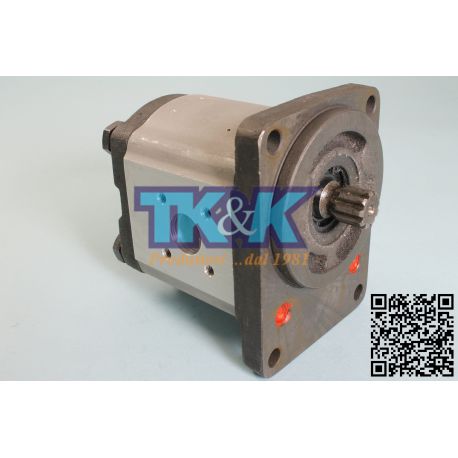 Pompa Gr. 2 Germany Standard, albero Scanalato z9